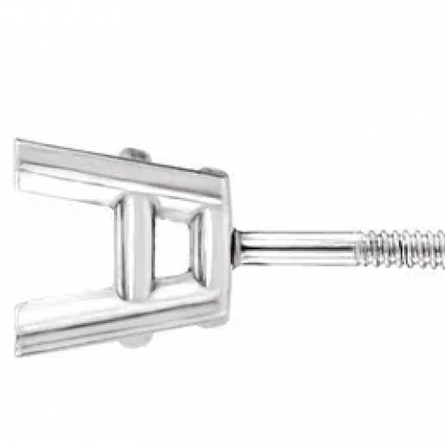 Platinum Deluxe Double Gallery studs - 4 claw, Round. Threaded Posts and Screw Backs